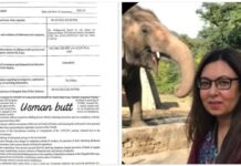 سابق چیف جسٹس قاضی فائز عیسیٰ کا پہلا سہولت کار قانون کے ریڈار پر